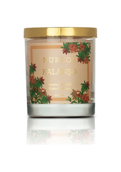 Nurxos Kalanşo Kokulu Mum 220 G