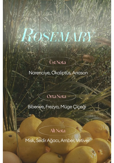 Missha A'pıeu Juicy Pang Perfume Hand Cream Rosemary