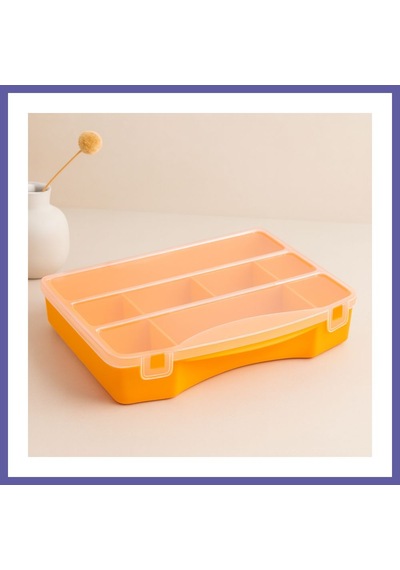 Bezos 8 Bölmeli Organizer Kutusu 18x13x3.5 Cm Nıda Çok Renkli