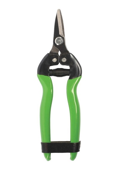 Formosa 24207 Meyve Toplama Narenciye Makası Kısa Düz Ağız 17Cm