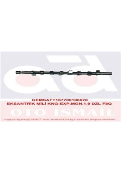 Gemsaft Rtkng01 Eksantrik Mili Kangoo Expres R19 1.9d F8q Em 7700106678 Diğer