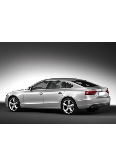 Audi A5 Sportback 2008-11 Arka Bagaj Amortisörü Pistonu 8T8827552