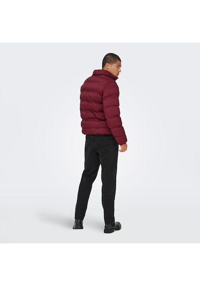 Only & Sons Union Seamless Life Erkek Bordo Mont 22034834-cab Bordo