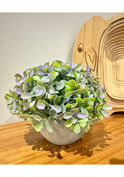 Premium Modern Gri Saksıda Gerçekçi Yapay Dekoratif Bitki 17 X 13 Cm Ev Ve Ofis Dekoru Çok Renkli
