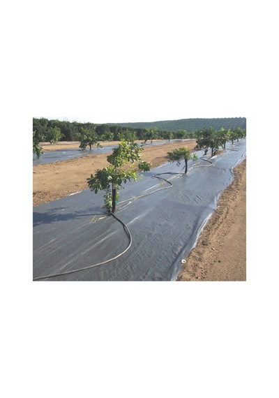 Hbcv00009nqze6 Abkplastik Siyah Peyzaj Taban Örtüsü 140cm