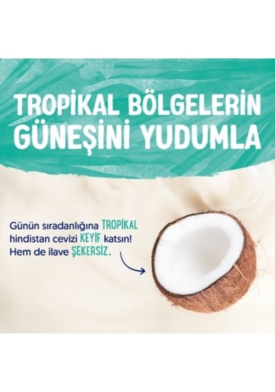 Hindistan Cevizi Sütü 4x1 L Vegan Laktozsuz Besin