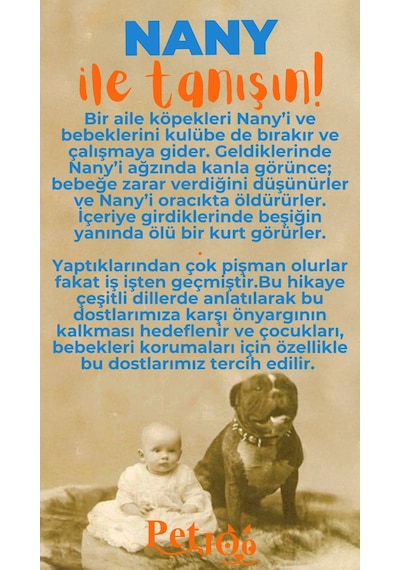 Petjoo 17.Nany Turuncu-Mavi Qr'lı Köpek Künyesi