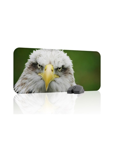 Kartal Oyuncu Gaming Mouse Pad Kauçuk Kaymaz Taban Mousepad V1, 70x30 Xl