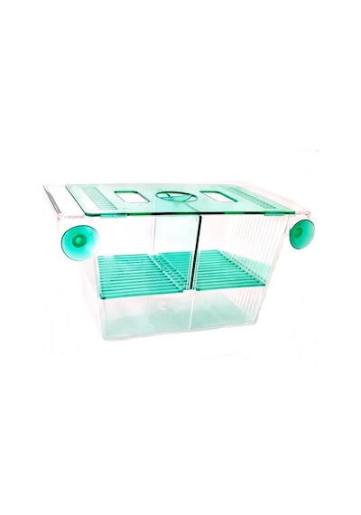 Kardelen İki Bölmeli Büyük Akvaryum Balık Yavruluk 20 x 10 x 10 CM