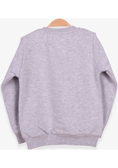 Breeze Kız Çocuk Sweatshirt Baskılı Pullu Unicorn 2-6 Yaş, Gri Me (541263997) Çok Renkli