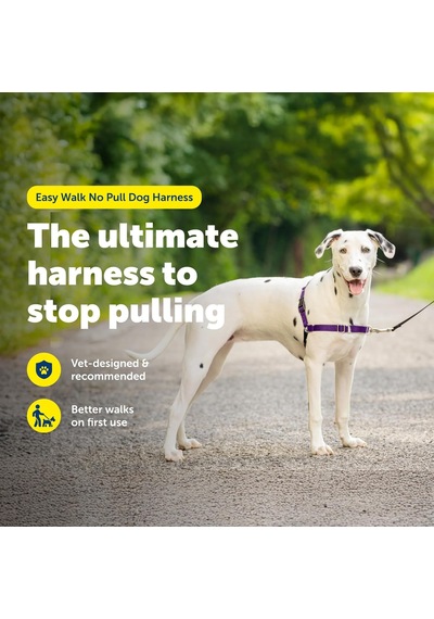 Tr Easy Walk Köpek Koşum Takımı Genel
