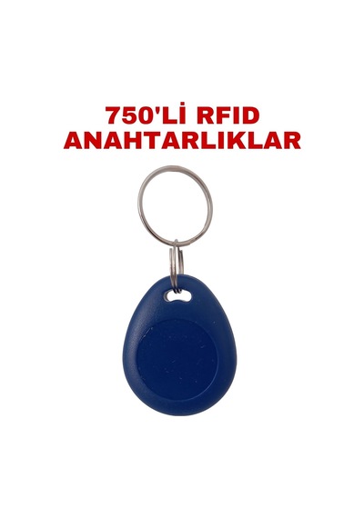 Sr-602 Yazılabilir Ve Kopyalanabilir Rfıd Proximity Anahtarlık 125 Khz Keyfob Geçiş Kontrol Çipi 750 Adet