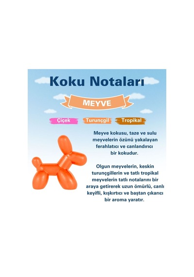 Little Joe Little Dog Meyve Araç Kokusu Fruit -45 Gün -oto Koku