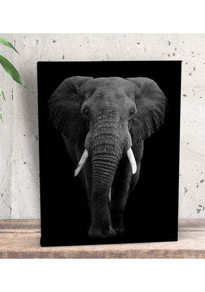 Bk Gift Fil Tasarımlı Dekoratif Mini Kanvas Tablo 15X20Cm-1 (551116093)