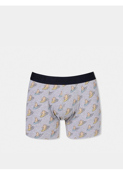 Colin's Colins Modern Fit Baskılı Erkek Gri Boxer Cl1074938 Q1.v1 Mga Gri Melanj