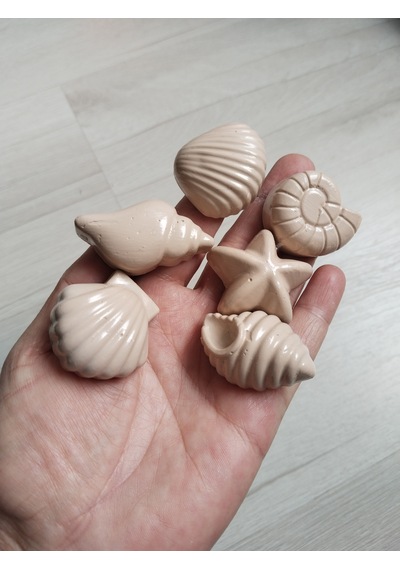 6'lı Deniz Kabuğu Temalı Dolap Çekmece Kulpu, Açık Kahve, 4-5 Cm, Açık Kahverengi