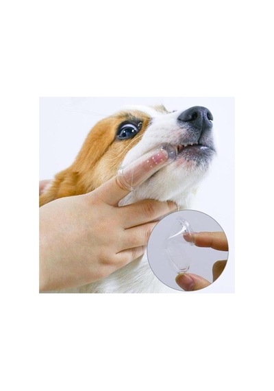 Tr Kedi Köpek Parmak Diş Fırçası Kutulu Evcil Hayvan Diş Fırçası