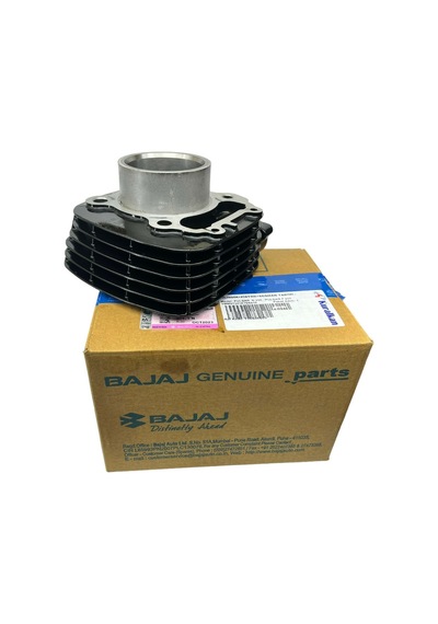 Bajaj Pulsar N 250 Silindir Piston Set