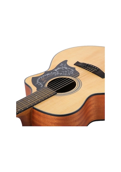 Pg150 Pickguard Gitar Pena Koruyucu Kuş Desenli Pickguard