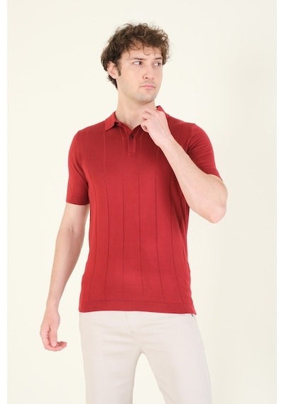Giyim Dünyası Erkek Çizgili Polo Yaka Merserize T-shirt Bordo 001