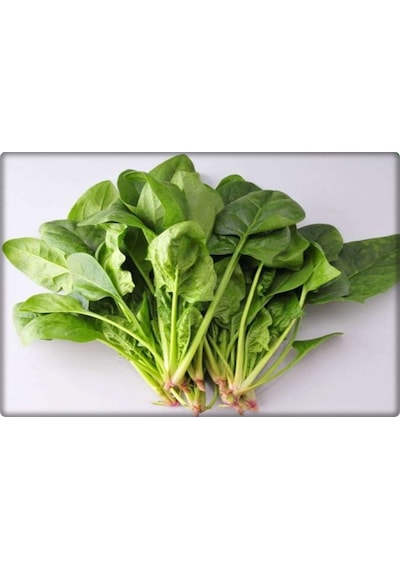 Ispanak Tohumu İthal Matador Çeşidi 250 GR