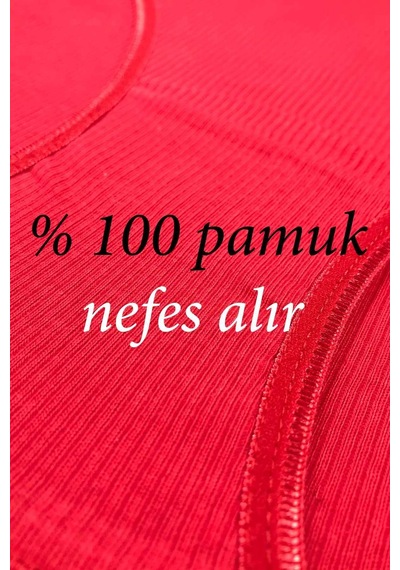 12 Adet Fitilli Pamuklu Kadın Kaşkorse Bikini Külot M-l Çok Renkli