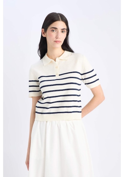 DeFacto Regular Fit Polo Yaka Çizgili Kısa Kollu Triko Tişört	 C4402AX25SPER105