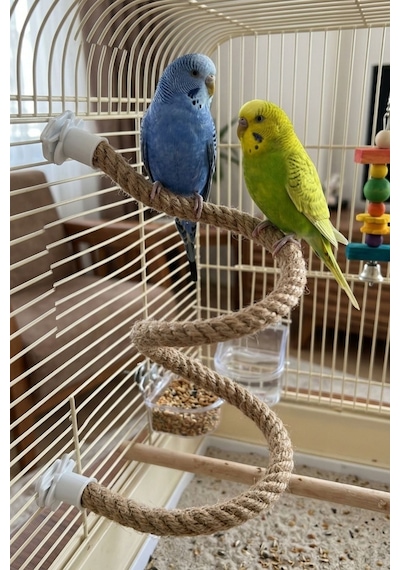 Mivra Pets 2'li Esnek Kuş Tüneği Seti 90 Cm Ahşap Jüt