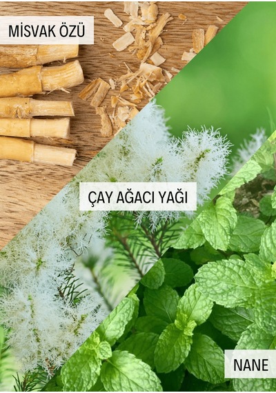 Besttem Sensitive Nane Çay Ağacı Diş Macunu 100 G