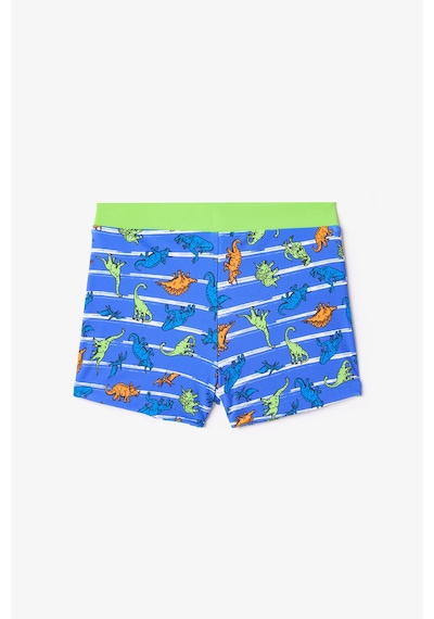 Penti Renkli Dinozor Desenli Erkek Çocuk Boxer Mayo