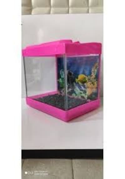 Kare Mini Akvaryum Pembe 20 x 20 x 15 CM