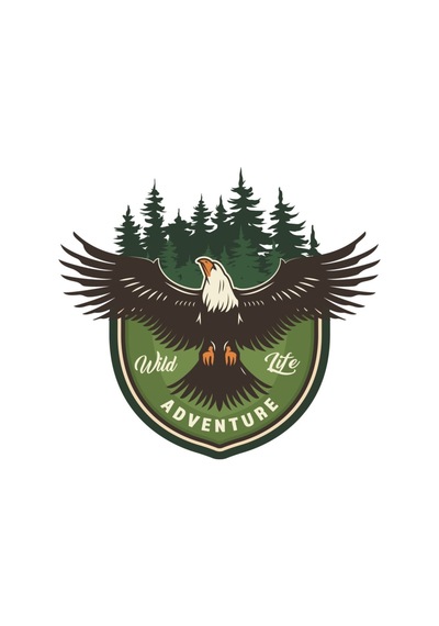 Adventure Camping Off Road Sticker Kartal Eagle Sticker 11 X 10 Cm