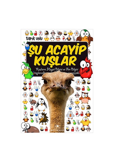 Şu Acayip Kuşlar