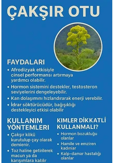 Natur'el Çakşır Kökü Suyu