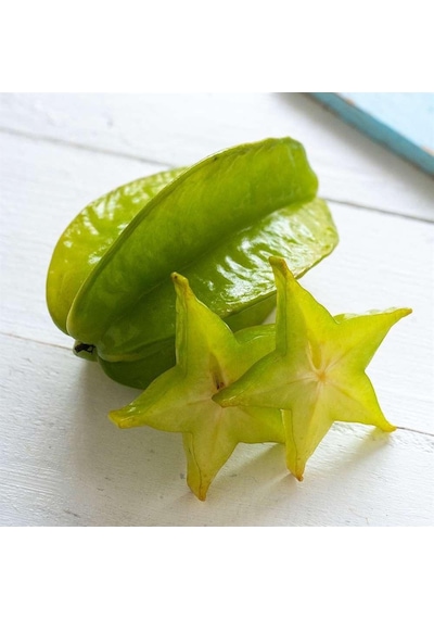 Meyve Verir Durumda 20 Lt Saksıda Carambola Yıldız Meyvesi Fidanı