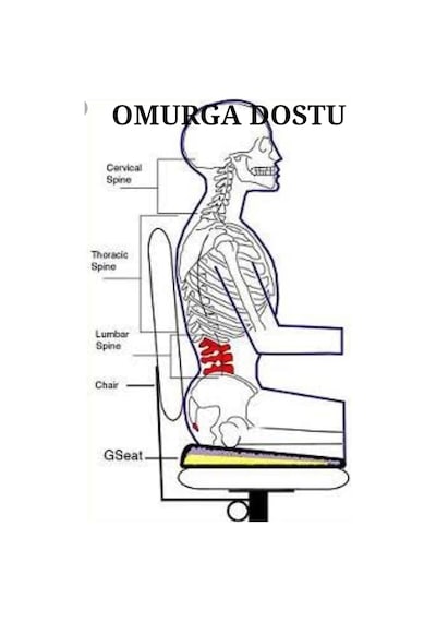 Ortopedik Dik Duruş Minderi. Oturma Bölgesi Sorunları için Minder