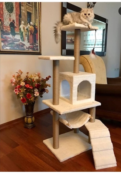 Pethomealpi Kedi Tırmalama Evi Mihrabat 125 CM
