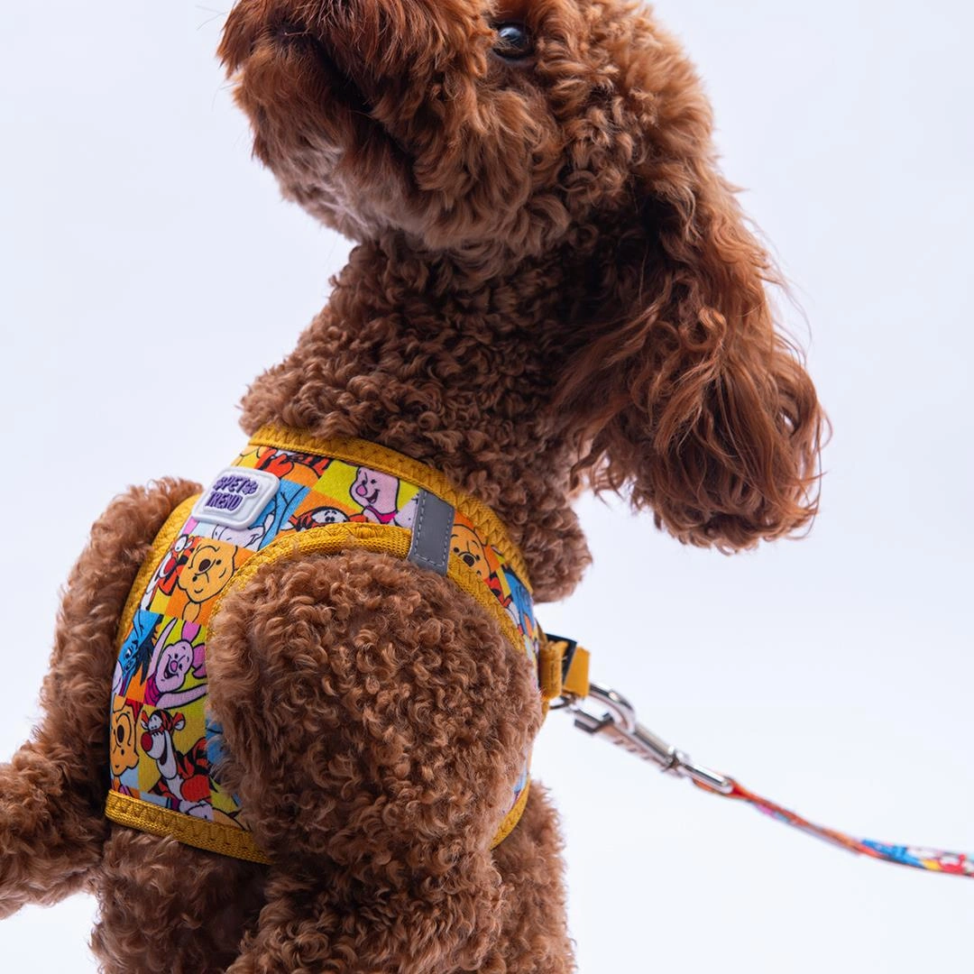 Winnie Team Göğüs Tasması Ve Sevk Kayışı Tasma Seti Winnie Ve Arkadaşları Kedi Köpek Göğüs Tasması Seti L Sarı