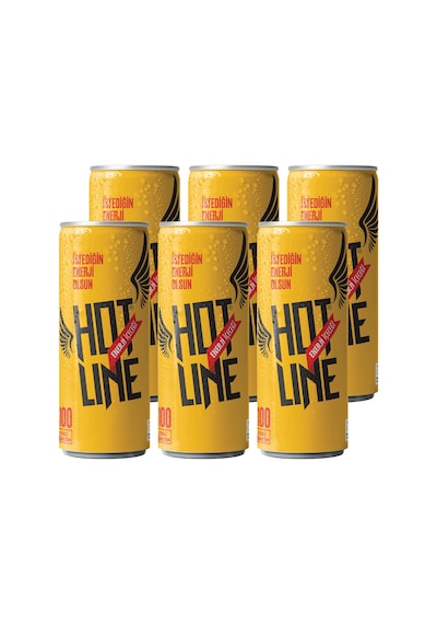Hotline Enerji İçeceği 250 ml 6'lı