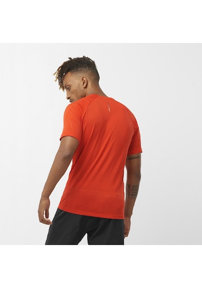 Salomon Cross Run Ss Tee M 22929 Çok Renkli