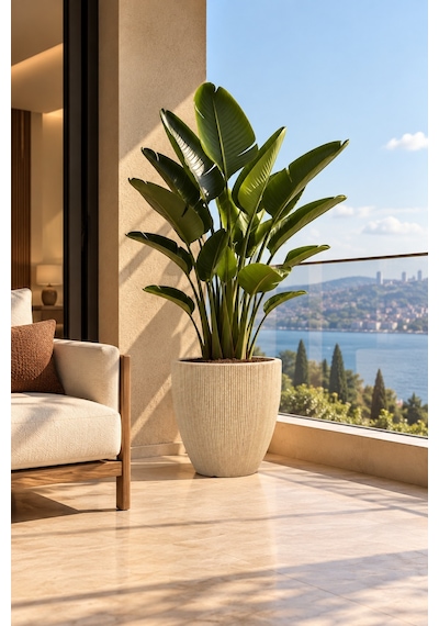 Bostann Dekoratif Saksı - Botonıa 020 - 30l - Bej 30 Lt