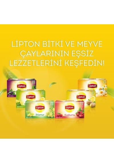 Bezos Adaçayı 20 Li Rengaren