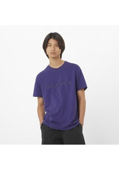 Salomon Bıg Logo Tee M Astral Aura// Erk T-shırt Lc2526900 Lacivert