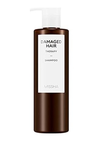 Yıpranmış Saçlar İçin Yoğun Bakım Şampuanı Damaged Hair Therapy Shampoo 8809581451414