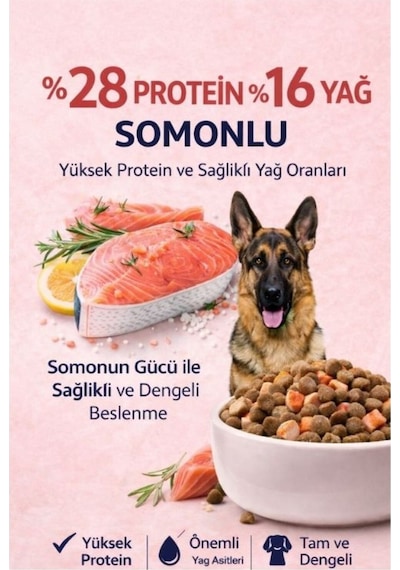 Somonlu Köpek Maması %28 Protein %16 Yağ Yetişkin Köpekler İçin Tam Ve Dengeli Beslenme