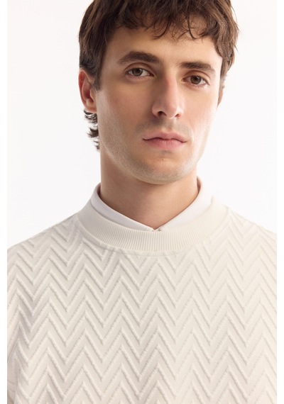 Avva Erkek Ekru Bisiklet Yaka Dokulu Elastan Regular Fit Sweatshirt A52y1216