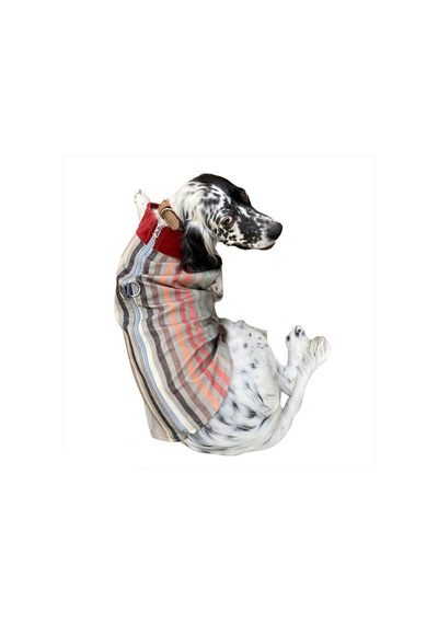 Kemique Stripe Orta ve Büyük Irklar için Köpek Ceketi