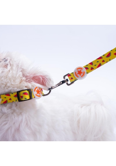 Watermelon Karpuz Desenli Köpek Boyun Tasması Ayarlanabilir Köpek Tasması M Sarı