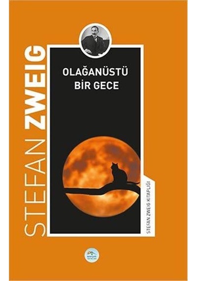 Olağanüstü Bir Gece-Stefan Zweig Kitaplığı - Stefan Zweig - Mavi Çatı Yayınları