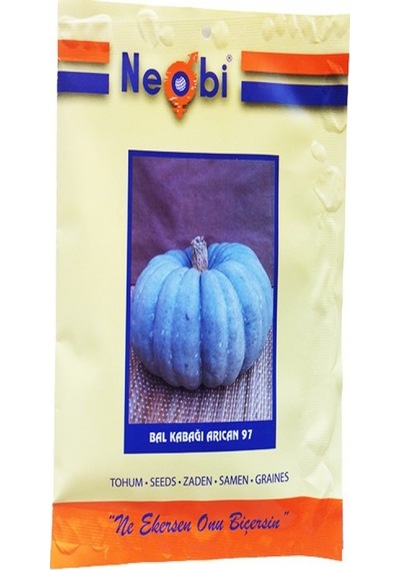 Neobi Balkabağı Tohumu Arıcan 10 GR